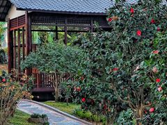 -深圳国际园林花卉博览园