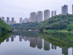 -重庆彩云湖湿地公园