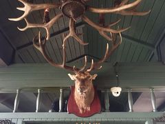 牛腩先生小馆(曲江会展店)-有才叔的小馆(招商依云曲江店)