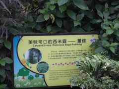 -南山植物园