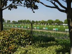 -上膳源有机农场