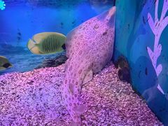 -正佳极地海洋世界