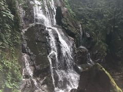 -藏龙百瀑风景区