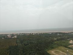 -日照海滨国家森林公园