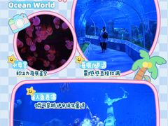 -石家庄极地海洋世界