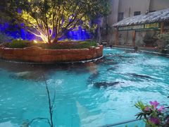 -忆江南·临江鱼馆