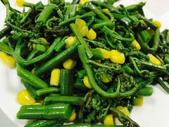 蕨菜玉米-伊祥·敦煌楼