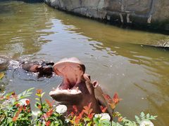 -南京金牛湖风景区