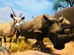 -陕西自然博物馆