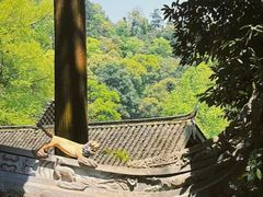 -青城山