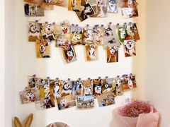 -Husky Go! 哈士奇体验馆·宠物咖啡厅狗咖