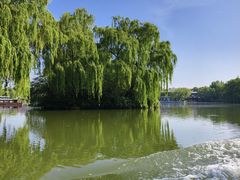 -济南大明湖景区