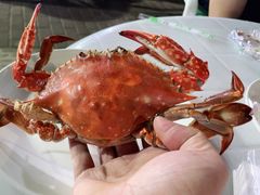 -海帮主·蒸汽海鲜青岛菜(栈桥火车站店)