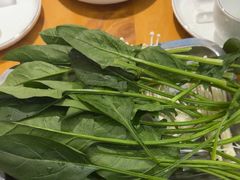 -成老灶火锅鸡(平山店)