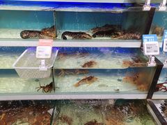 -盒马鲜生(红莲店)