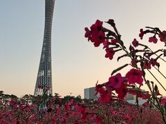 -海心沙亚运公园