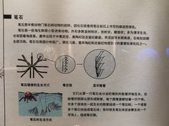 -贵州省地质博物馆