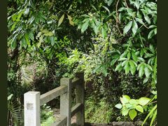 -阳台山森林公园