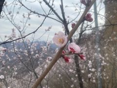 -何适山庄 ·可团建(水长城P2停车场店)