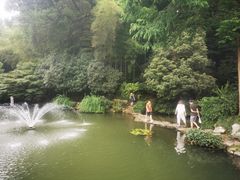 -杭州植物园