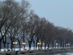 -北陵公园