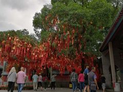 -国恩寺
