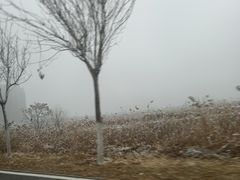 京八件-桂发祥·直营(下瓦房店)