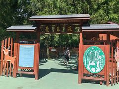 -东平国家森林公园