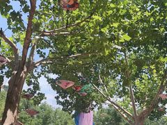 -郑州方特梦幻王国