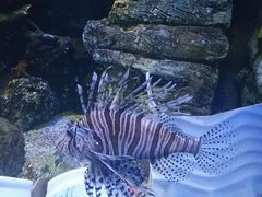 -运城海洋馆