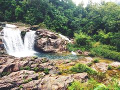 -海南热带雨林国家公园吊罗山景区