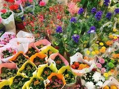 -双季花艺园艺市场(浦东店)