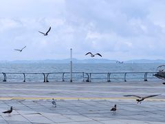 -东港音乐喷泉广场