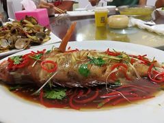 -烁佳海鲜大馅饺子