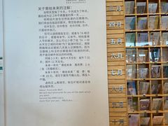 -猫的天空之城概念书店(北戴河蔚蓝海岸店)
