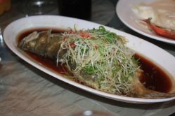 20清蒸桂花鱼-证大美爵酒店·一站式婚宴宴会厅