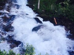 -九寨沟-树正沟