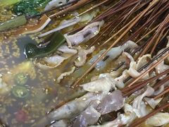 -古真记钵钵鸡(老公园店)