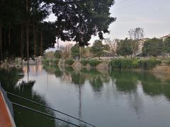 -光明港公园
