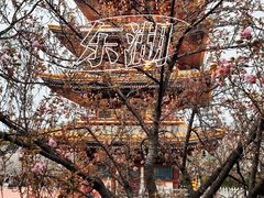 -东湖磨山景区