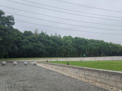 -上海崧泽遗址博物馆
