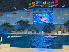 -泉城欧乐堡海洋极地世界