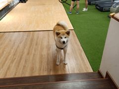 -YCHL Studios健身工作室(市二宫店)