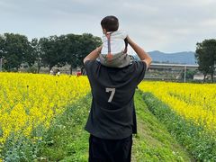 -光明小镇欢乐田园