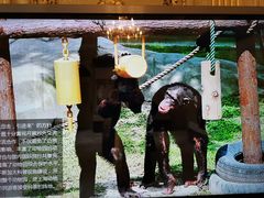 -北京动物园-畅观楼