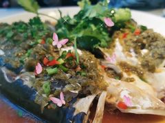 双椒千岛湖鱼头-春暖花开(西溪店)