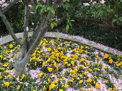 -荆川公园