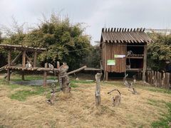 -宁波野生动物园
