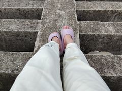 -上海吴淞炮台湾国家湿地公园