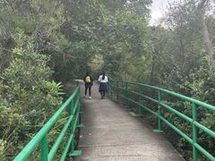 -南丫岛